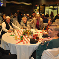 Mill Woods Seniors dinners